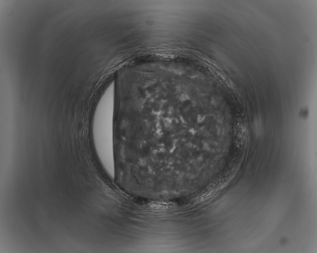 X0000097910707200803281403