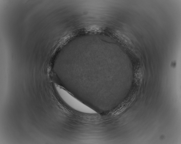 X0000097910708200803281403