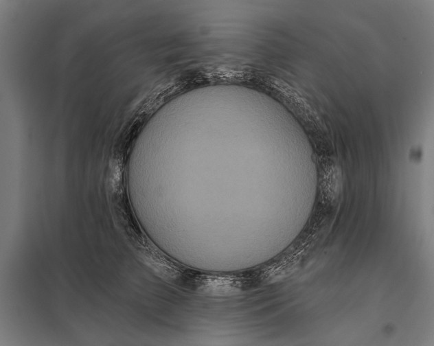 X0000097910709200803281403