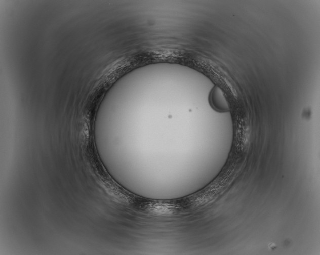 X0000097910710200803281403