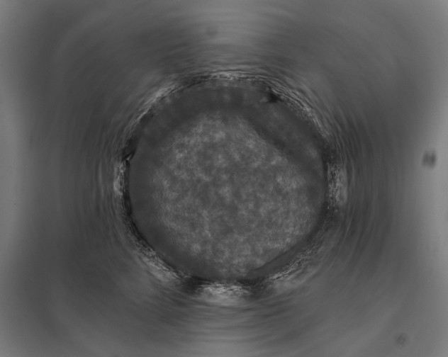 X0000097910712200803281403