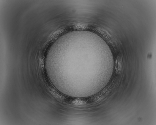 X0000097910714200803281403