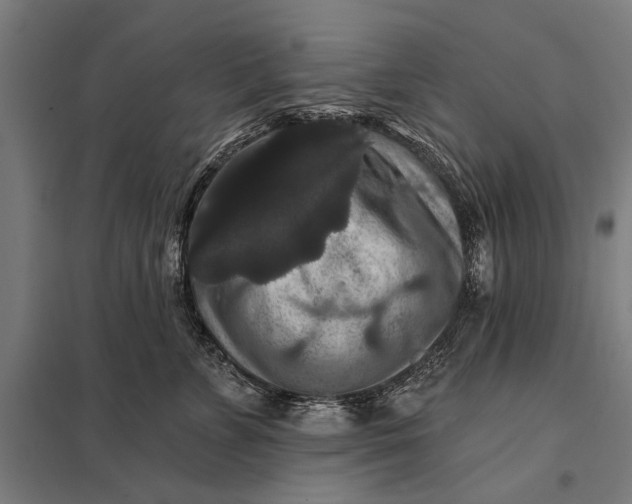 X0000097910715200803281403