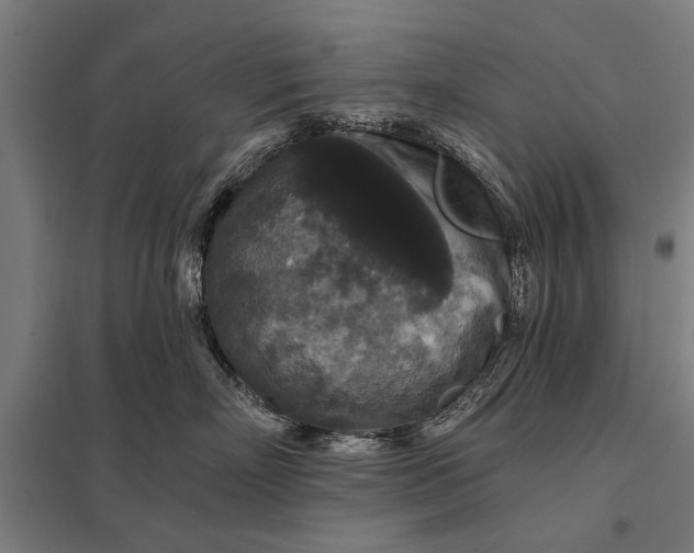 X0000097910718200803281402