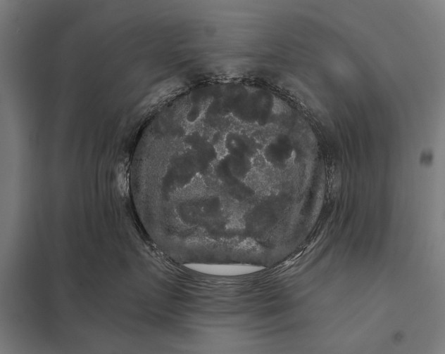 X0000097910719200803281402