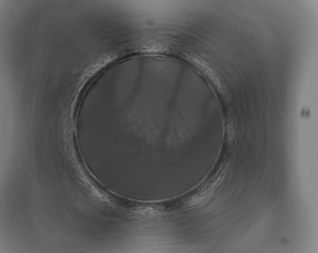 X0000097910721200803281402