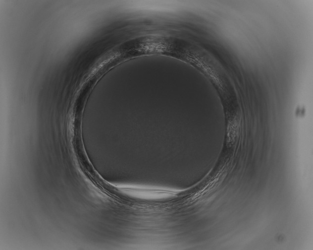 X0000097910722200803281402