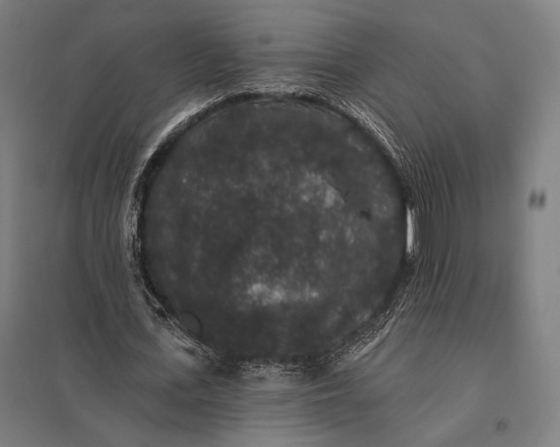 X0000097910723200803281402