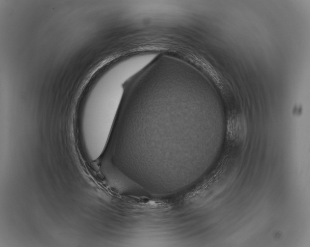 X0000097910724200803281402