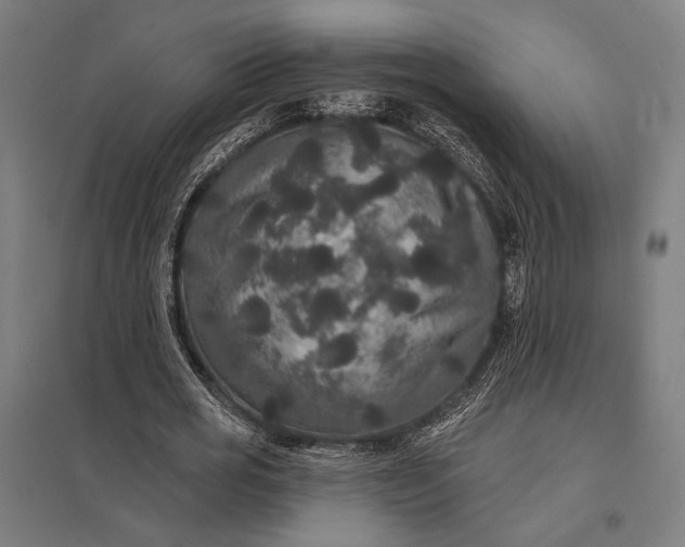 X0000097910725200803281402