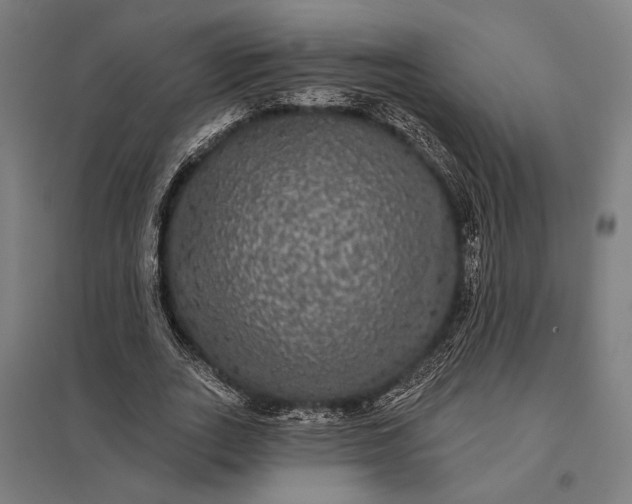 X0000097910727200803281402