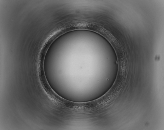 X0000097910728200803281402