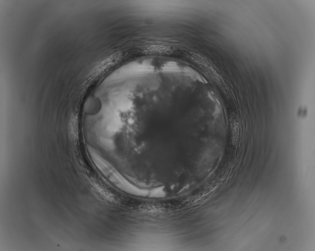 X0000097910729200803281402