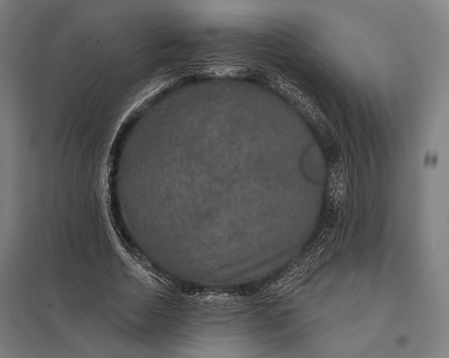 X0000097910730200803281402