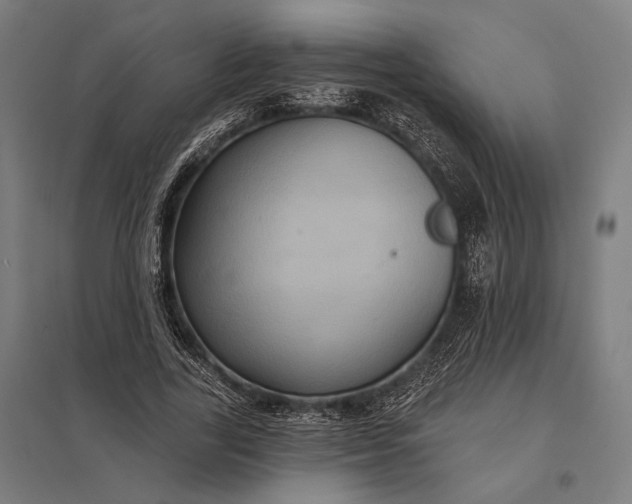 X0000097910731200803281402