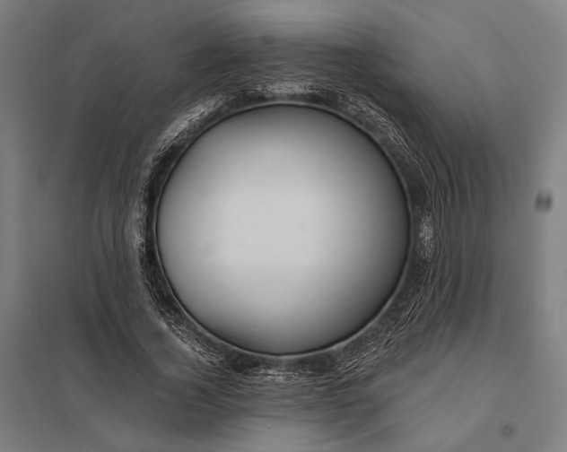 X0000097910732200803281402