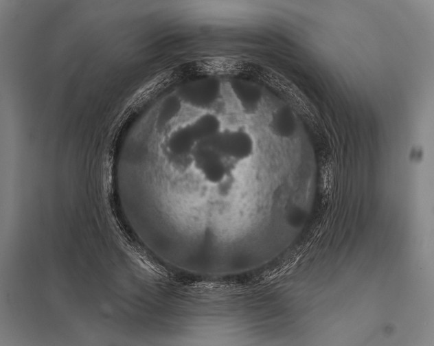 X0000097910733200803281402