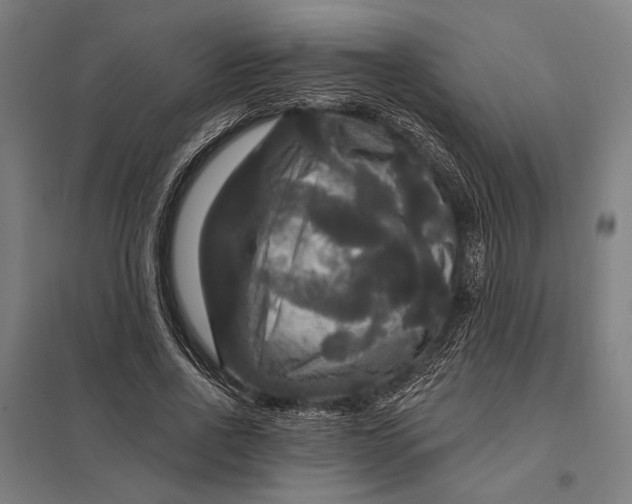 X0000097910734200803281402