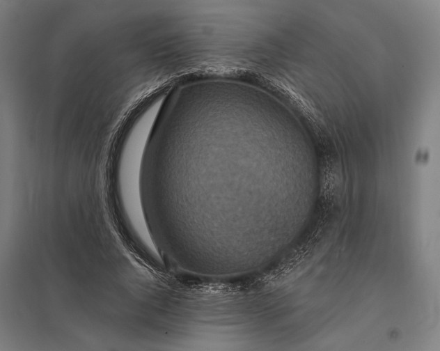 X0000097910736200803281402