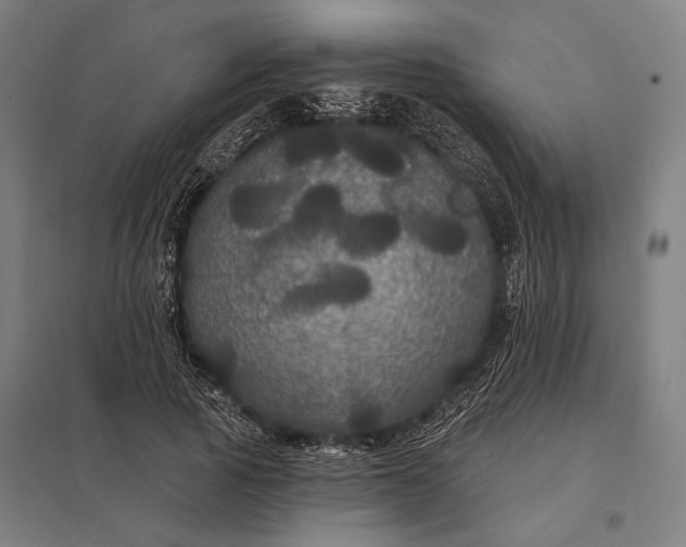 X0000097910737200803281402