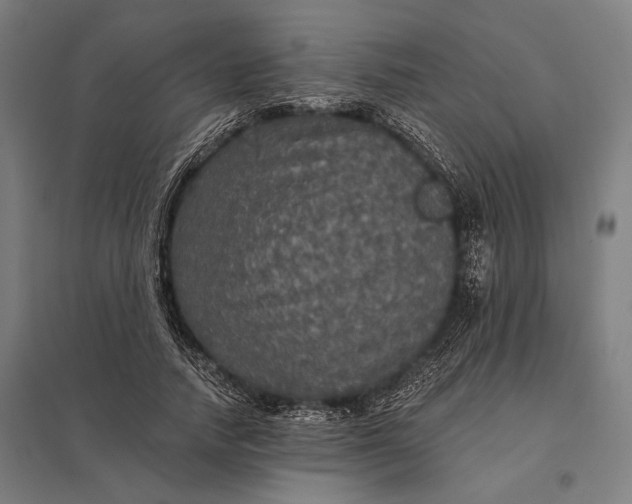 X0000097910738200803281402