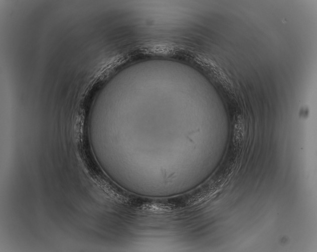 X0000097910739200803281402