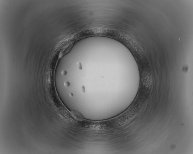 X0000097910740200803281402