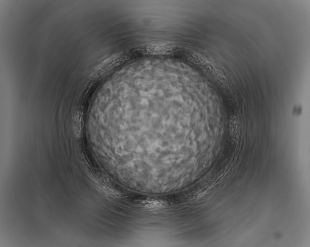 X0000097910741200803281402