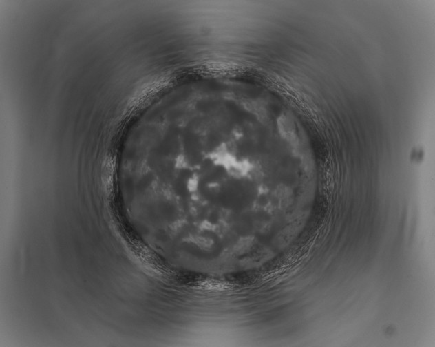 X0000097910742200803281402