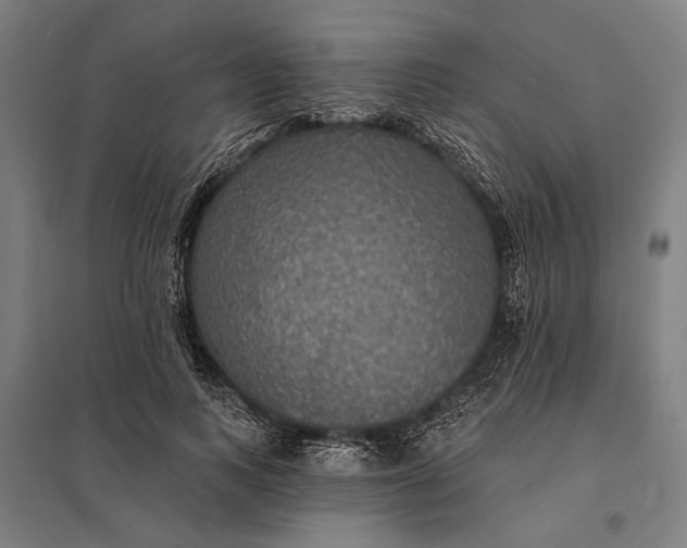 X0000097910743200803281402