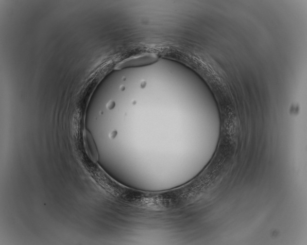 X0000097910744200803281402