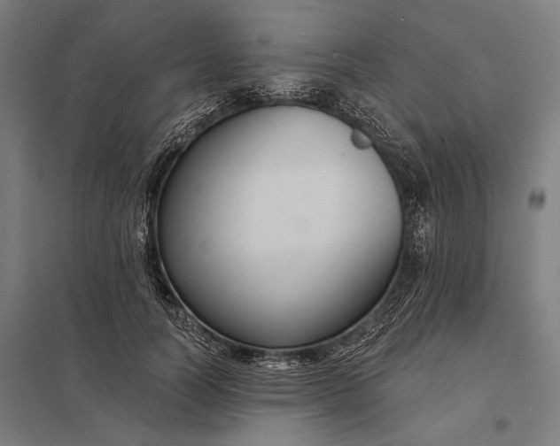 X0000097910746200803281402