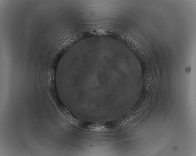 X0000097910747200803281402