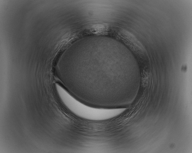 X0000097910748200803281402