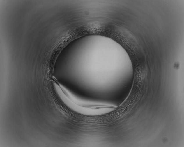 X0000097910750200803281402