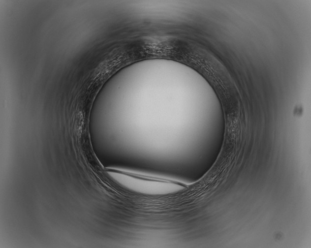 X0000097910752200803281402