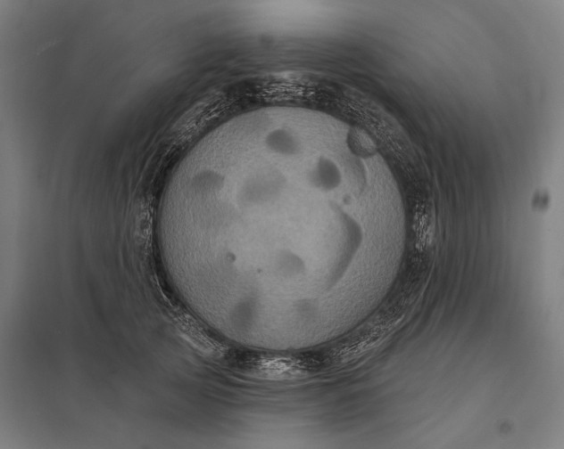 X0000097910753200803281402