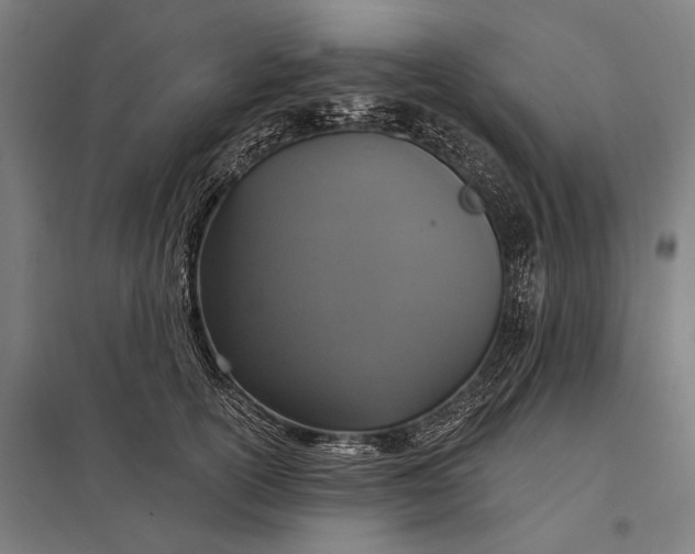 X0000097910754200803281402