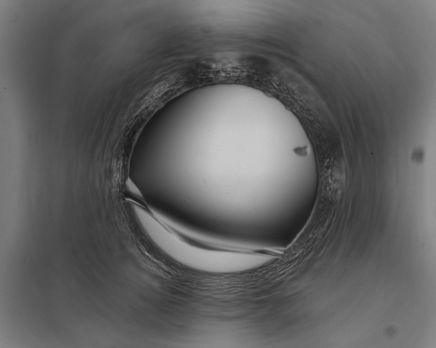 X0000097910756200803281402