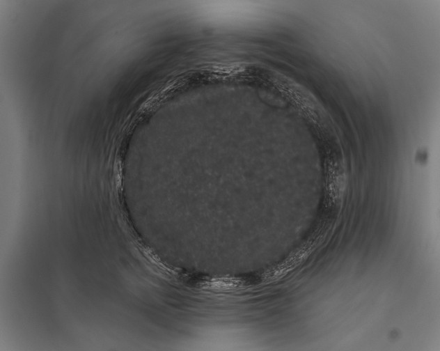 X0000097910758200803281402