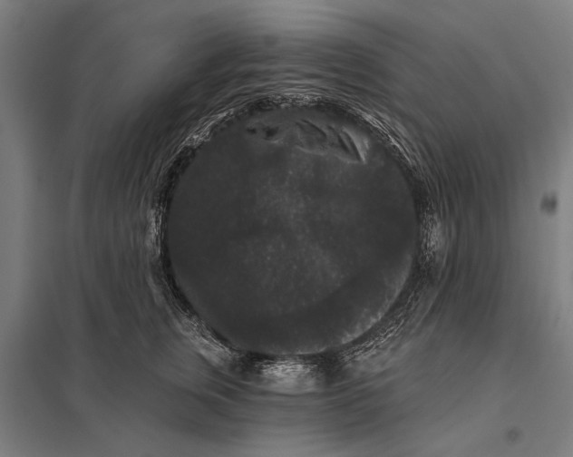 X0000097910759200803281402