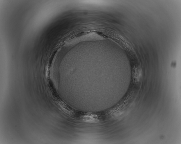 X0000097910760200803281402