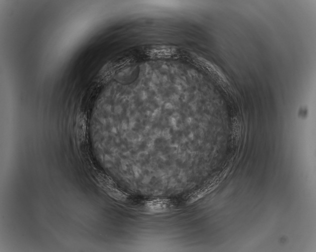 X0000097910761200803281402