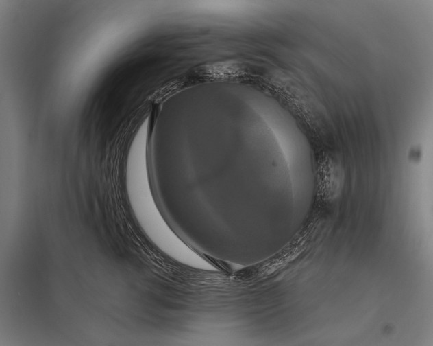 X0000097910762200803281402