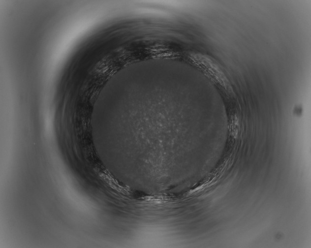 X0000097910763200803281402