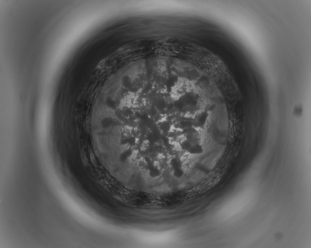 X0000097910765200803281402