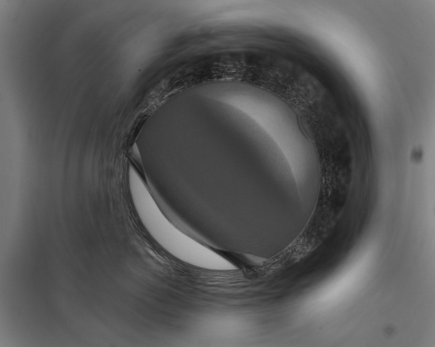 X0000097910766200803281402