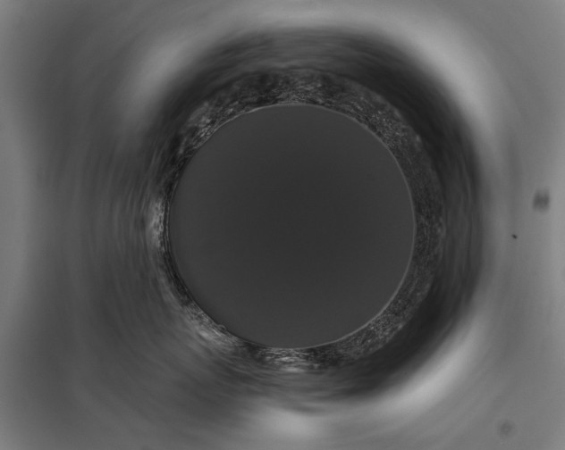 X0000097910767200803281402