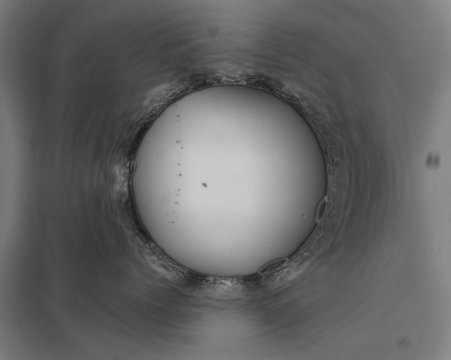 X0000097910768200803281402