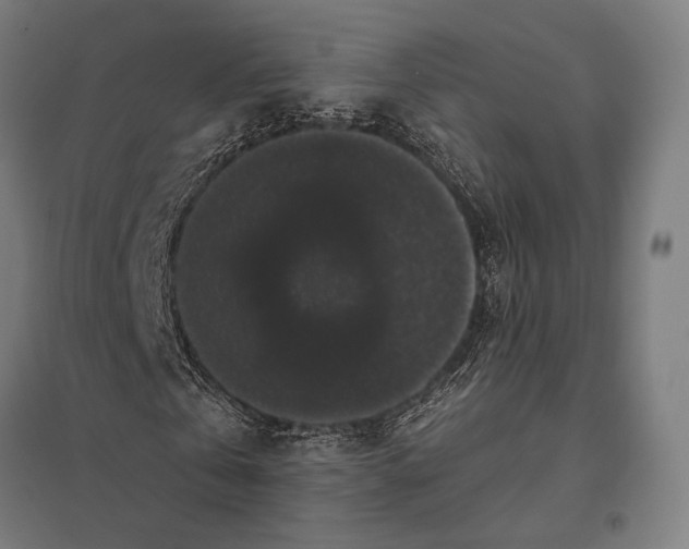 X0000097910769200803281402